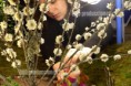 /album/making-of/making-cantando-flores-jpg/
